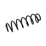 Coil Spring Rear | Febi Bilstein (104734)