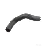Radiator Hose | Febi Bilstein (106237)
