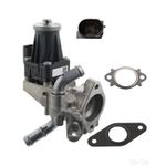 EGR Valve With Gaskets | Febi Bilstein (106648)