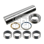 Febi King Pin Set (15899)