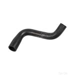 Radiator Hose | Febi Bilstein (171208)
