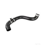 Febi Bilstein Radiator Hose - 172431 