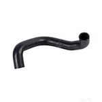 Radiator Hose (172579) | Febi Bilstein