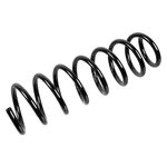 Rear Coil Spring | Febi Bilstein (174716)