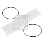 Febi Oil Filter With Seal Rings (176276) Fits: Scania