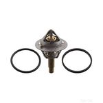 Febi Thermostat - With Seal Rings (106507)