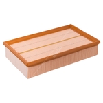 Febi Bilstein Air Filter Insert (49670) For VW