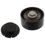 Aux Belt Idler Pulley | Febi Bilstein 47939