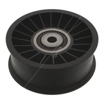 Aux Belt Tensioner / Idler | Febi Bilstein 06370