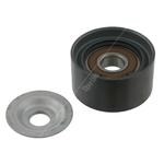 Aux Belt Tensioner / Idler | Febi Bilstein 23261