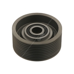 Aux Belt Tensioner / Idler | Febi Bilstein 30290