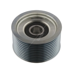 Aux Belt Tensioner / Idler | Febi Bilstein 35161