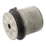 Axle Mounting Bush (Fits: VW & Audi) | Febi Bilstein 40800