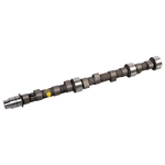 Camshaft | Febi Bilstein 01307