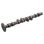 Camshaft | Febi Bilstein 01416