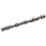 Camshaft | Febi Bilstein 02986