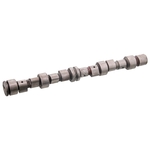 Camshaft | Febi Bilstein 02996