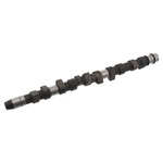 Camshaft | Febi Bilstein 04934