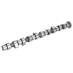 Camshaft | Febi Bilstein 05029
