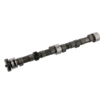 Camshaft | Febi Bilstein 05118