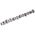 Camshaft | Febi Bilstein 05442