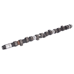 Camshaft | Febi Bilstein 05519