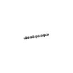 Camshaft | Febi Bilstein 10006