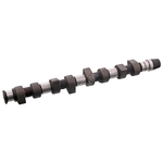 Camshaft | Febi Bilstein 10009
