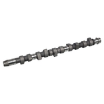Camshaft | Febi Bilstein 10519