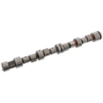 Camshaft | Febi Bilstein 12241