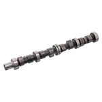 Camshaft | Febi Bilstein 19246