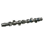 Camshaft | Febi Bilstein 19738