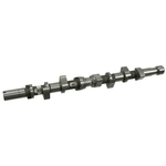 Camshaft | Febi Bilstein 21987