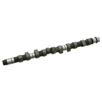 Camshaft | Febi Bilstein 24820