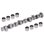 Camshaft Kit | Febi Bilstein 03131