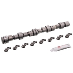 Camshaft Kit | Febi Bilstein 03531