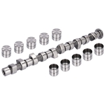 Camshaft Kit | Febi Bilstein 05444