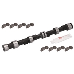 Camshaft Kit | Febi Bilstein 06023
