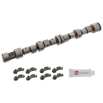 Camshaft Kit | Febi Bilstein 12242