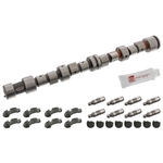 Camshaft Kit | Febi Bilstein 12243