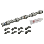 Camshaft Kit | Febi Bilstein 24549