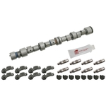 Camshaft Kit | Febi Bilstein 24550