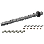 Camshaft Kit | Febi Bilstein 29916