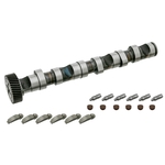 Camshaft Kit | Febi Bilstein 29918