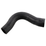 Coolant Hose | Febi Bilstein 11942