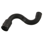 Coolant Hose | Febi Bilstein 36278
