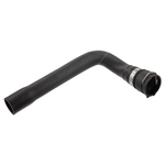 Coolant Hose | Febi Bilstein 36280