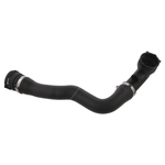 Coolant Hose | Febi Bilstein 36596