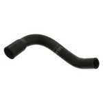 Crankcase Vent Hose | Febi Bilstein 38945