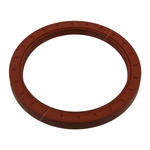 Crankshaft Oil Seal | Febi Bilstein 09895